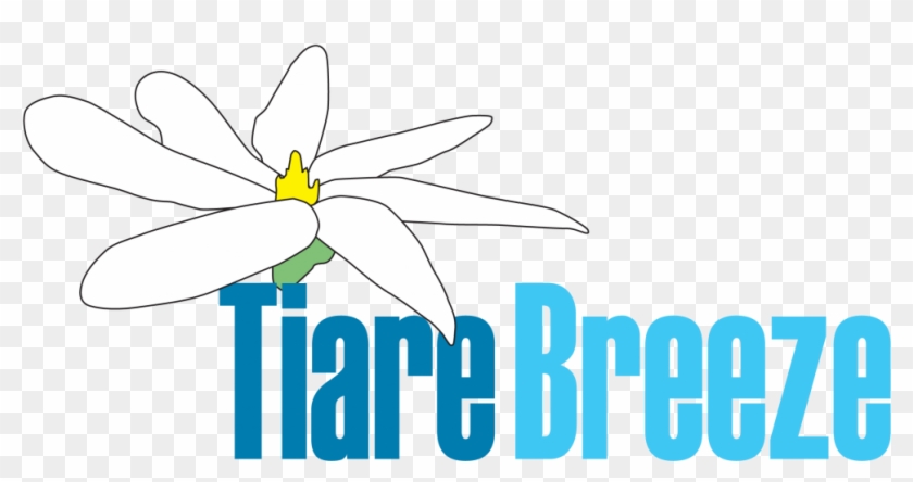Tiare Breeze New Website Coming Soon - Fictief #765862