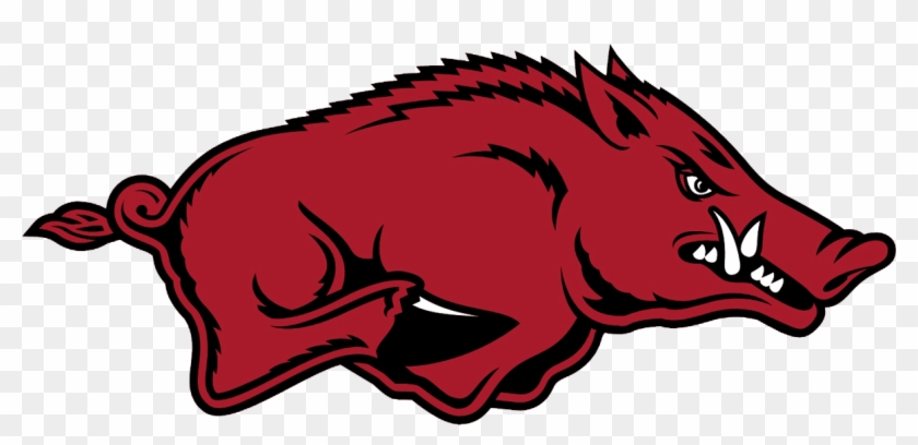 University Of Arkansas Razorback Quidditch - University Of Arkansas Razorbacks #765890