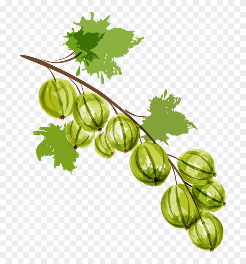 Auglis Cartoon Cherry Illustration - Auglis Cartoon Cherry Illustration #766046