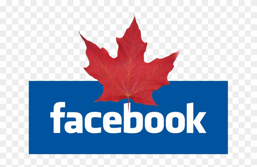 Suivez-nous Sur - Facebook For Small Business #766027