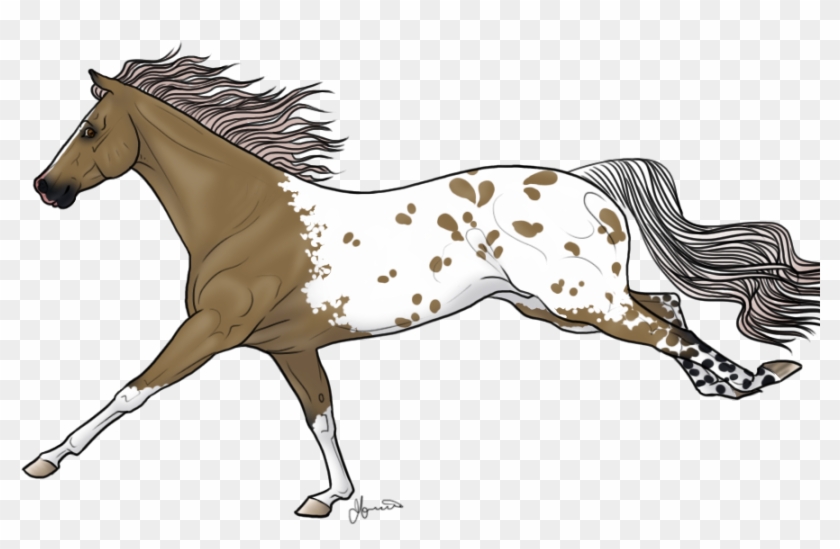 Related Appaloosa Horse Clipart - Stallion #766499
