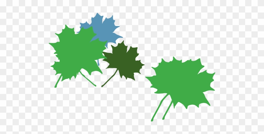 Maple Leaf Clip Art #766759