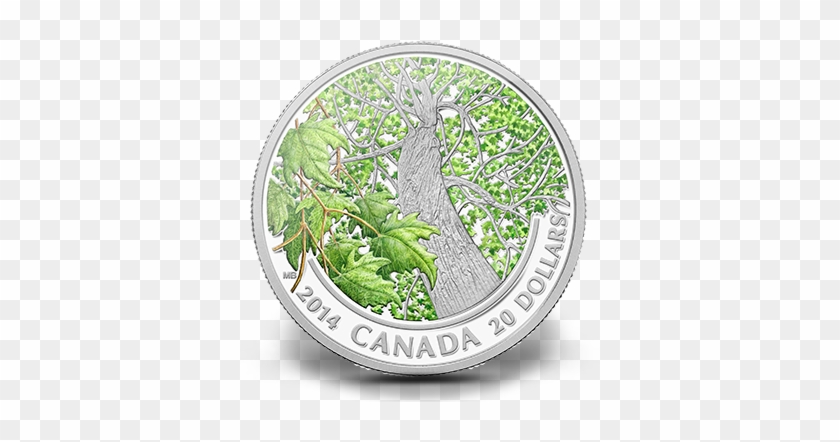 Fine Silver Coin - 2014 Fine Silver 20 Dollar Coin - Maple Canopy: Spring #766770