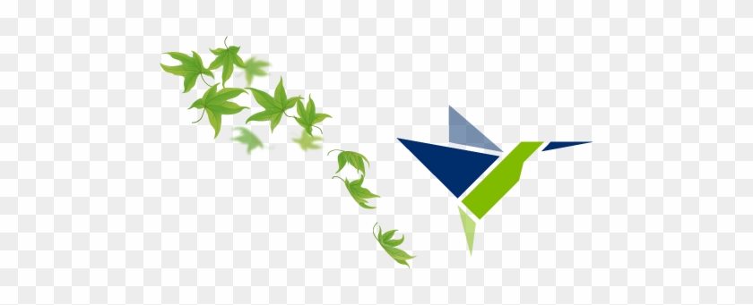 Maple Leaves & Camsa Bird - Vector Graphics #766772