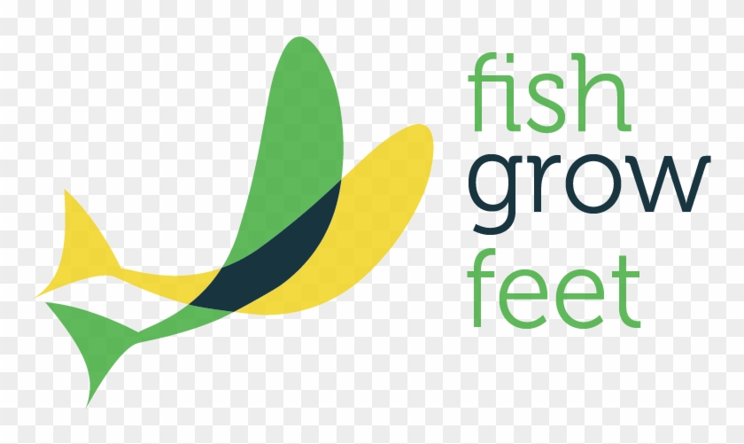 Fishgrowfeet Logo Website Sticky - Science #766928