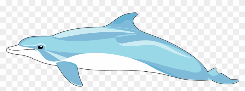 Bottlenose Dolphin Clipart Mammal - Lumba Lumbs Png #766986