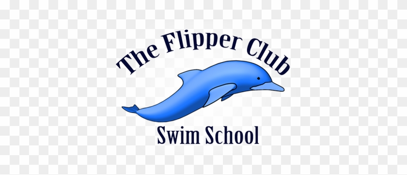 Dolphin Clipart Flipper - Dolphin Clipart Flipper #767018