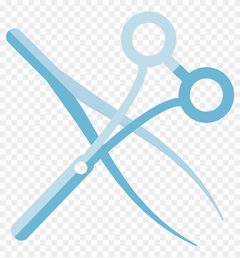 Surgical Scissors - Scissors Equipment - Scissors #767024