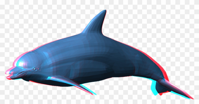 Dolphin - Dolphin Png #767028