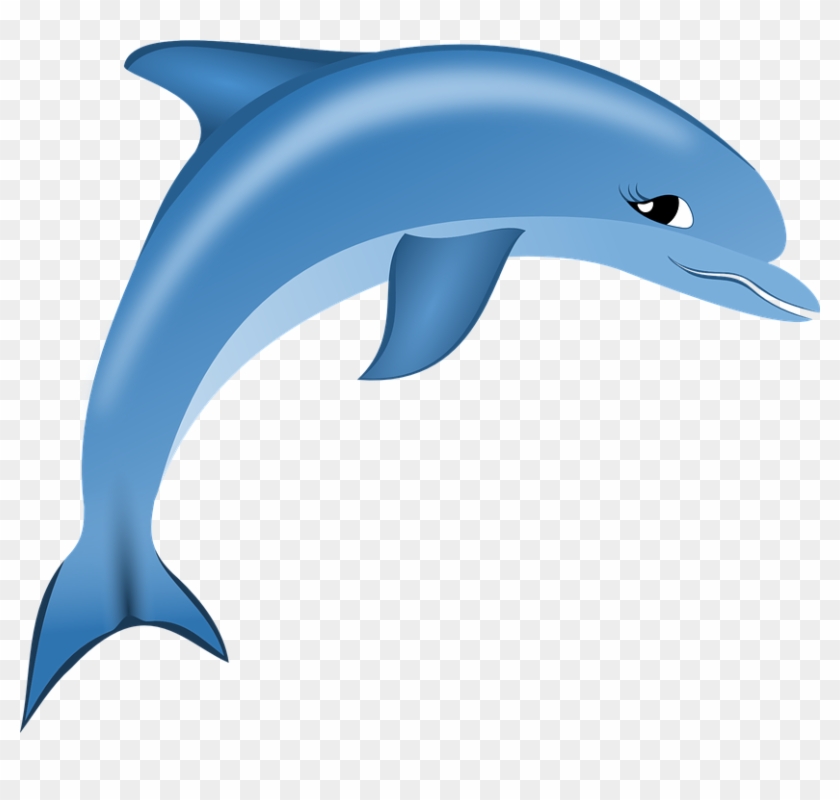 Dolphin Vector Art 12, Buy Clip Art - Ca Heo Hoat Hinh #767035