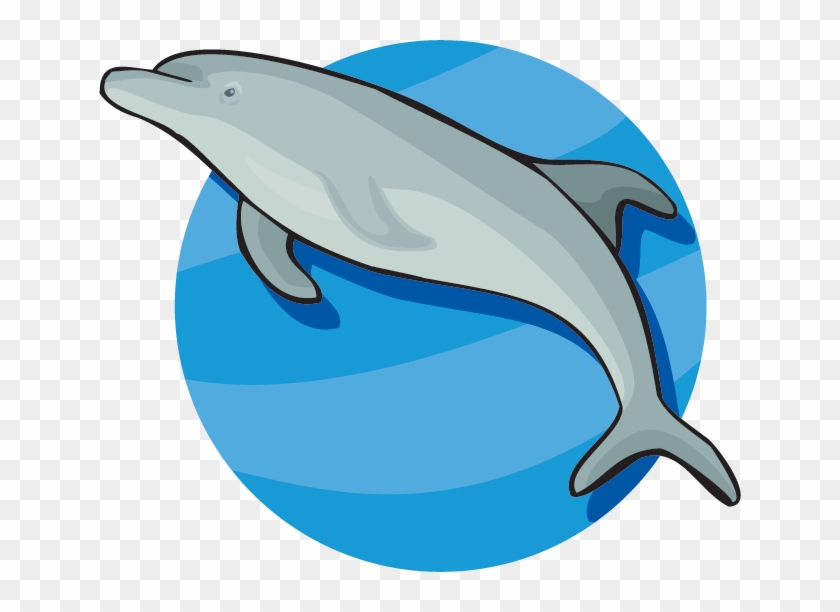 Bottlenose Dolphin Clipart Endangered - Dolphin Large Wall Clock #767037