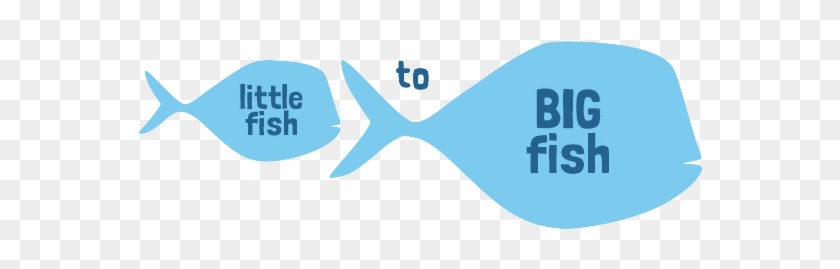 Little Fish To Big Fish - Graphic Design #767065