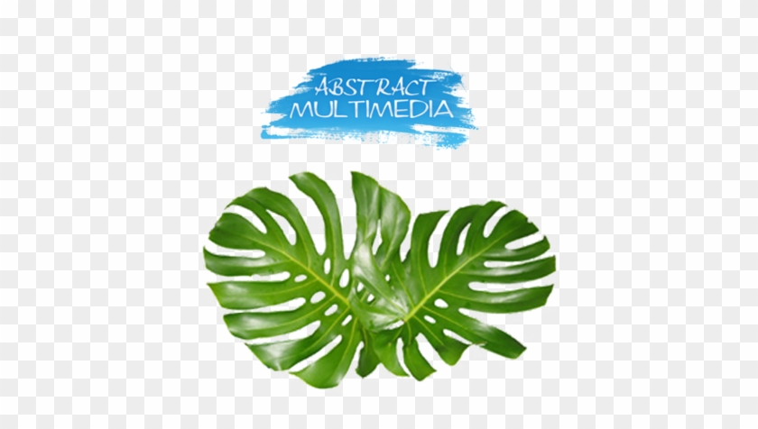 Maple Leaf Logo Download - Leaf Monstera Png Transparent #767094