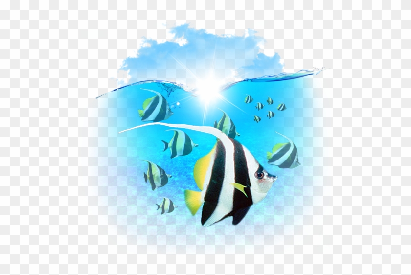 Fish Icon - Fish #767105