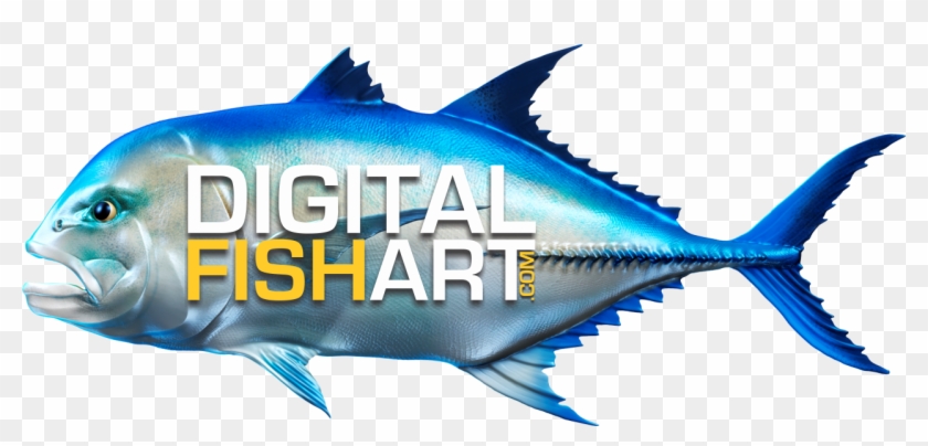 Digital Fish Art Beautiful Fish Decals For Your Boat, - Truck Camper #767165