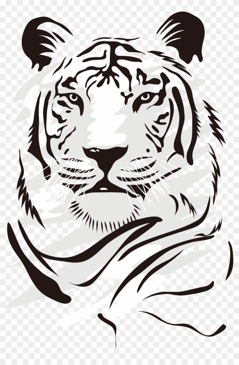 Tiger Euclidean Vector Clip Art - Wall Sticker Tiger #767263
