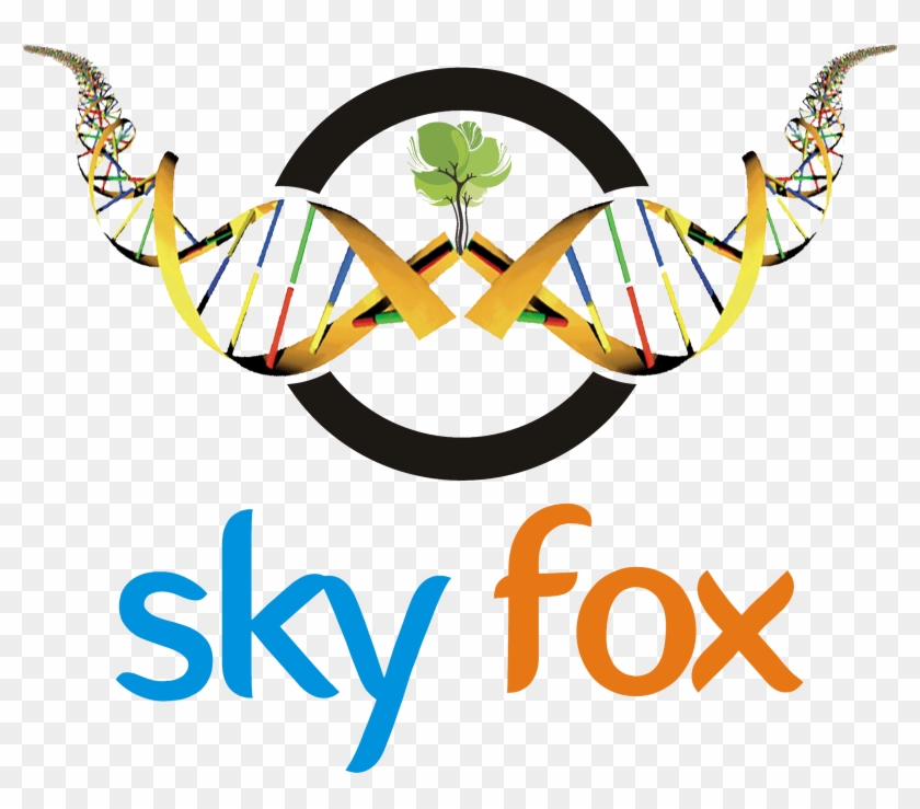 Skyfox Publishing Group - Academic Journal #767348
