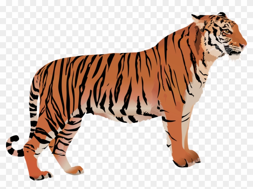Bengal Cat Bengal Tiger White Tiger Clip Art - Bengal Cat Bengal Tiger White Tiger Clip Art #767413
