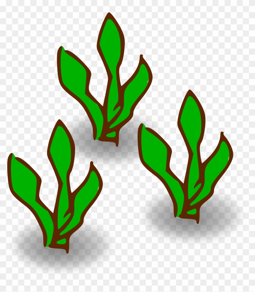 Clipart Kelp Forest Heavy - Kelp Clipart #767914