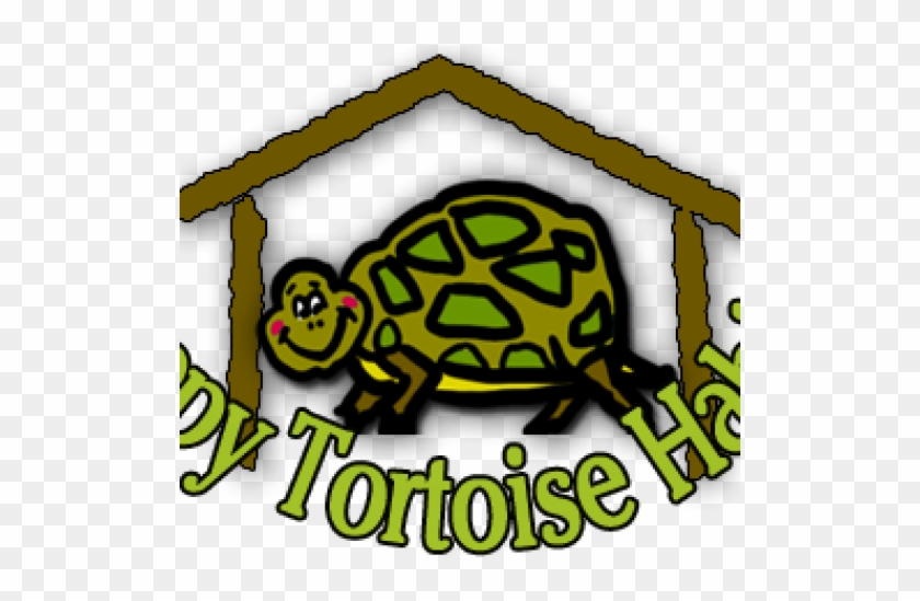 Happy Tortoise Habitat New Logo - Box Turtle #767981
