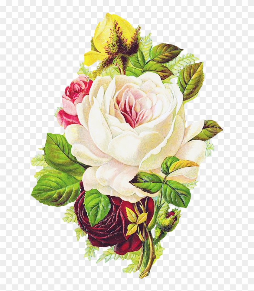 Free Vintage Rose - Beautiful Vintage Floral Art Sticker #768035