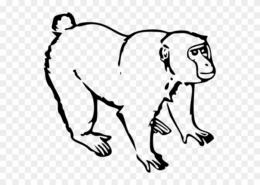 Monkey Black And White Monkey Black White Line Art - Monkey Black And White #768328