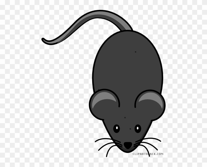 Black Mouse Animal Free Black White Clipart Images - Cartoon Mouse Tail Png #768356