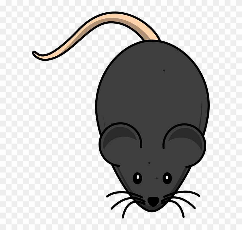 Cute Mouse Clipart - Mouse Clip Art #768357