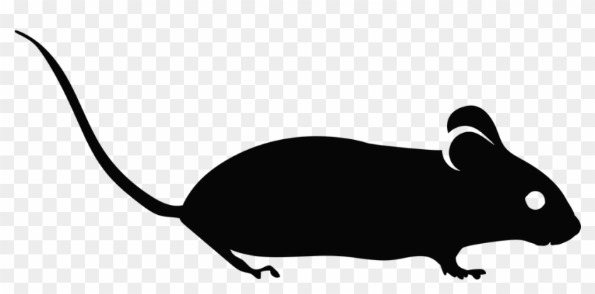 Mouse Cliparts 9, Buy Clip Art - House Mouse #768388