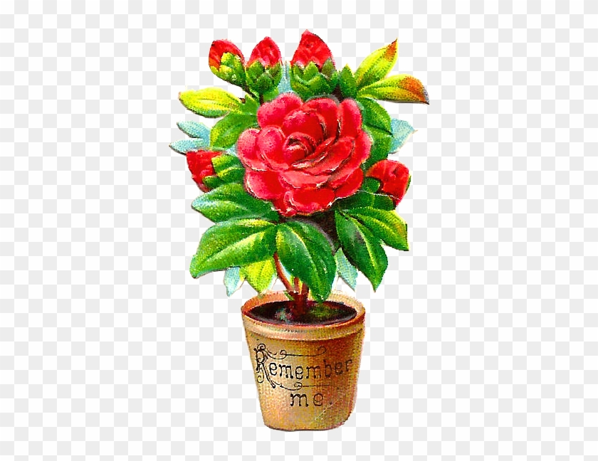 Antique - Png Flowers Pots Hd #768428