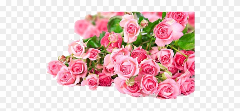 Pink Roses Flowers Bouquet Png Photos - Beautiful Pink Rose Flower #768466