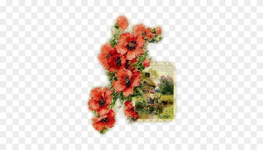 Soave Background Transparent Vintage Flowers House - Soave Doc #768517