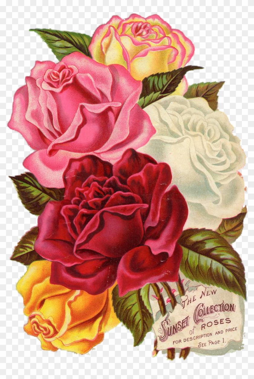 Red, Rose, Vintage, Botanical, Flower, Floral, Leaves - Printable Flowers Design Paper #768536