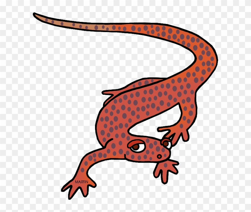 Tennessee State Amphibian - Tennessee Cave Salamander Cartoon #768543