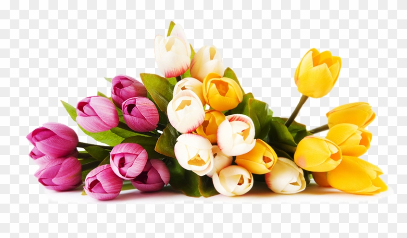 Same Day Delivery Of Fresh Flowers For Every Occasion - Flower Shop Png #768879