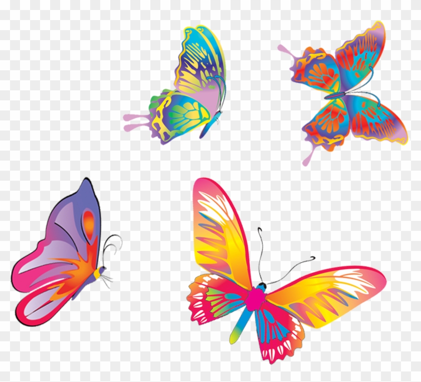 Colored Butterflies Fly - Colored Butterflies Fly #769146