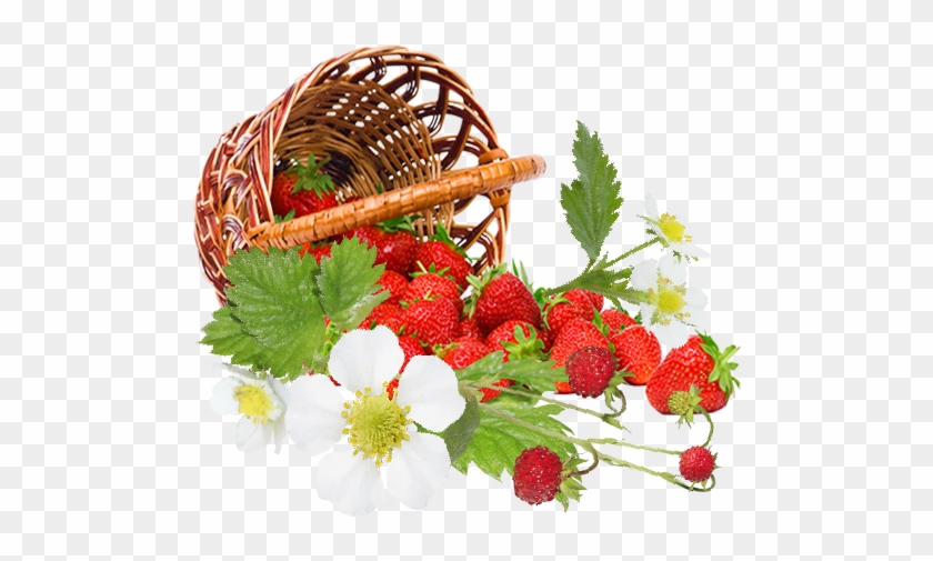 Strawberry Flowers By Kmygraphic - Bascket With Strowberry Png #768955