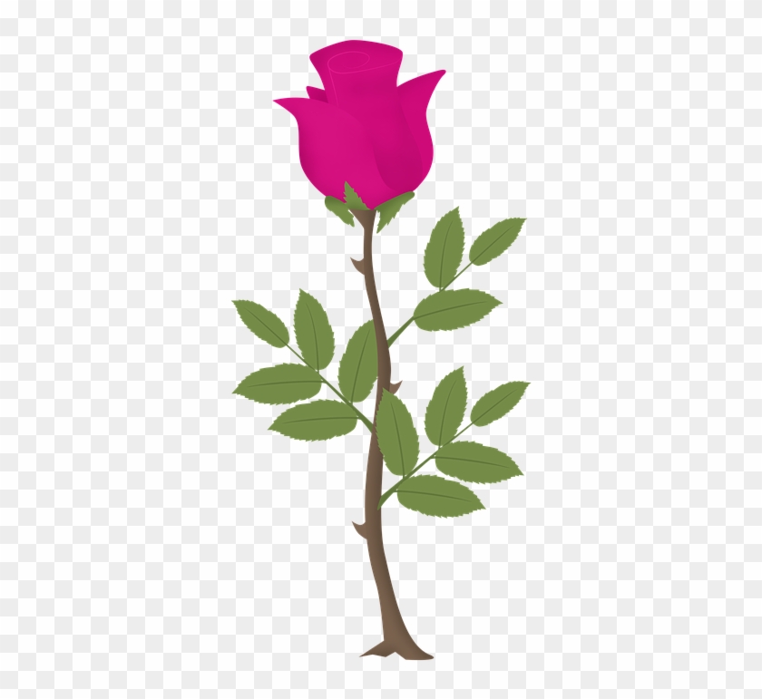 Rosa, Flower, Roses, Pink Vector, Pink Flowers - Zazzle Rose Tree Sweatshirt #768991