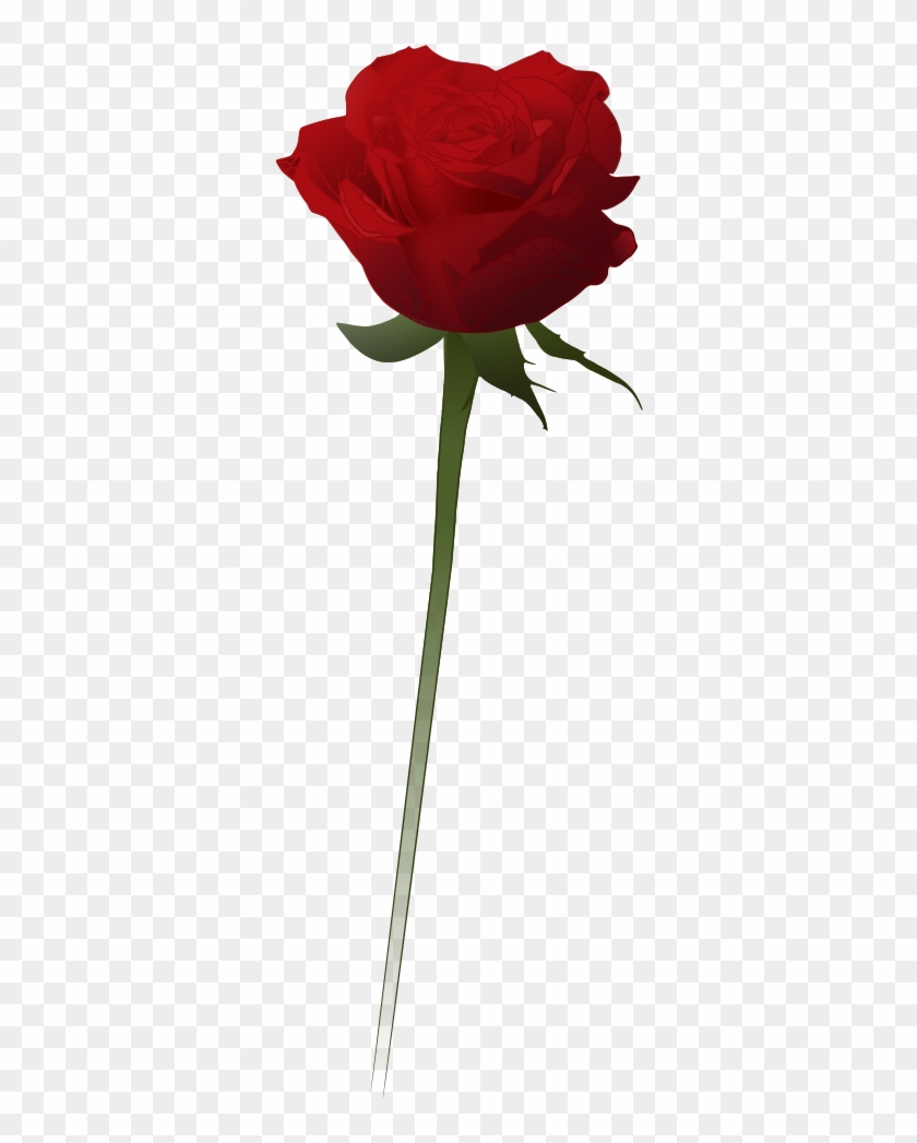 Red Rose Vector - Red Rose Vector Png #768992
