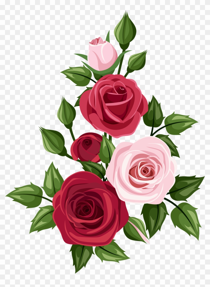 Rose Art Drawing Clip Art - Rosas Rojas Y Rosadas #769000