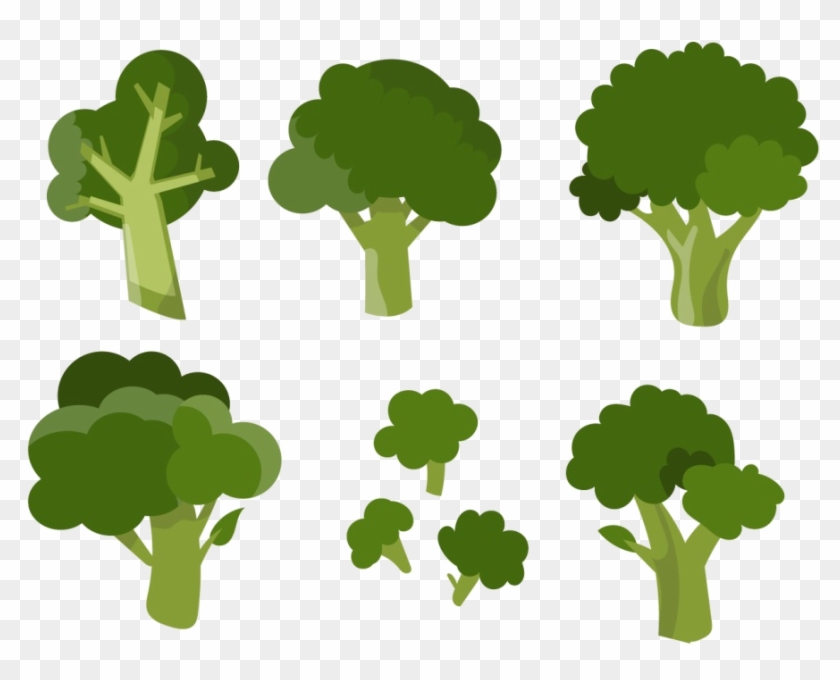 Broccoli Vegetable Clip Art - Broccoli Vegetable Clip Art #769017