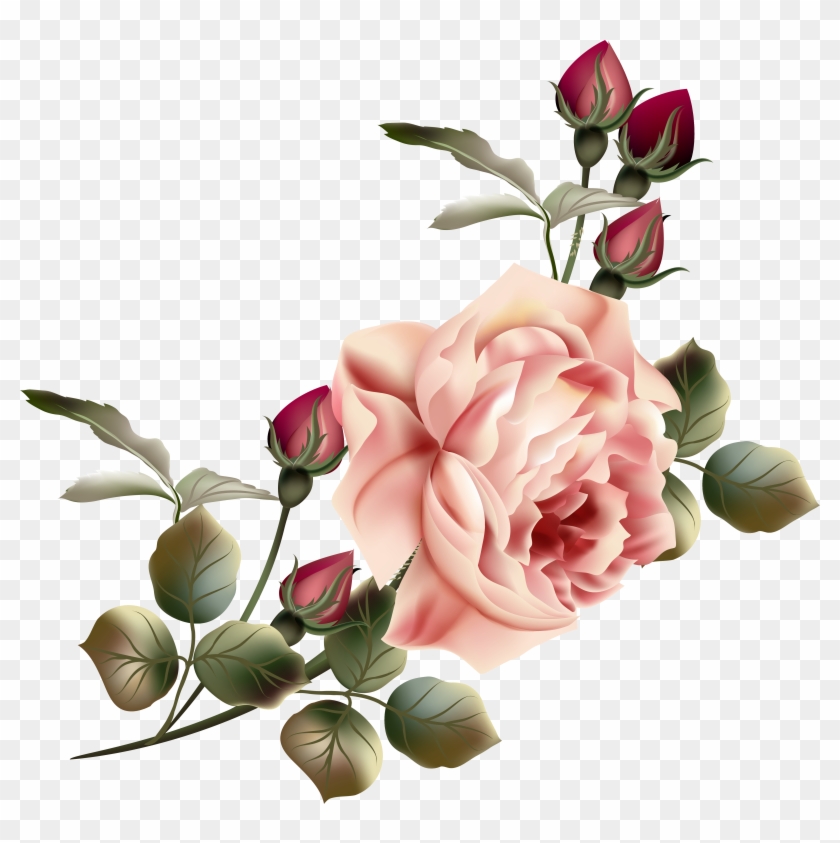 Flower Garden Roses Clip Art - Beautiful Victorian Roses Throw Blanket #769145