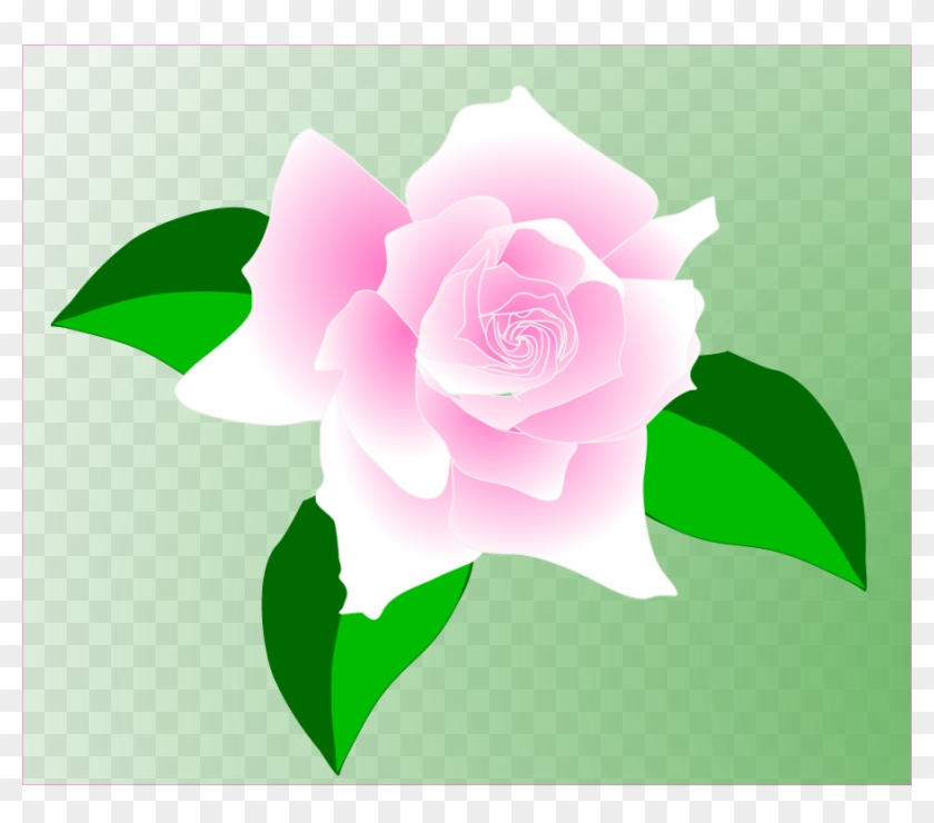 This Free Clip Arts Design Of Pink Rose - Single Pink Rose Clip Art #769184