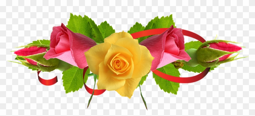 White Rose Png 16, Buy Clip Art - Flower Images Hd Rose Png #769268