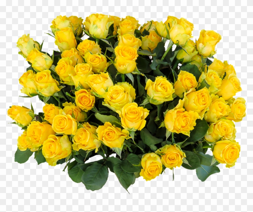 Image - Yellow Rose Day 2018 #769271