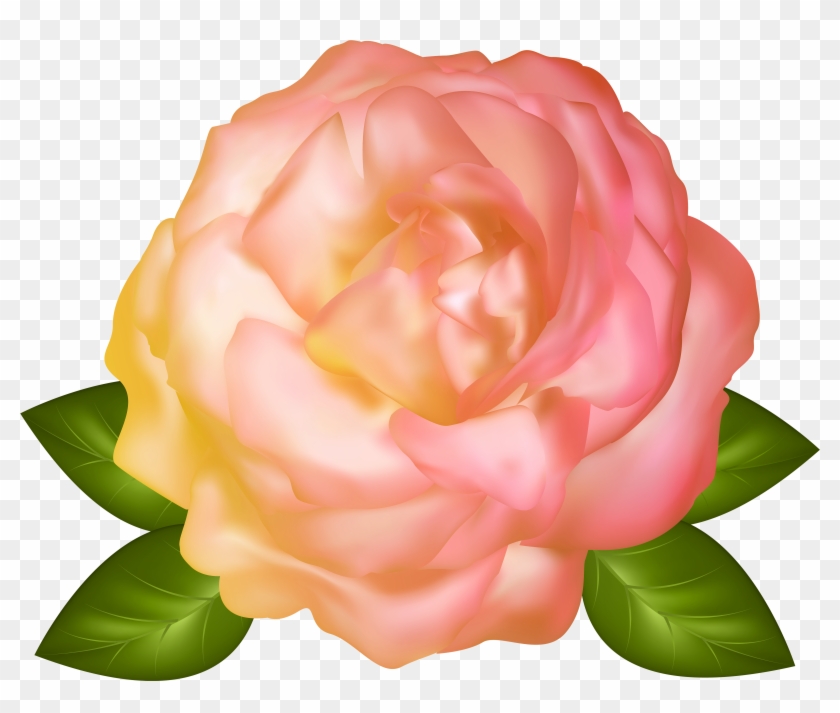 Yellow Rose Clipart Transparent - Teth #769275