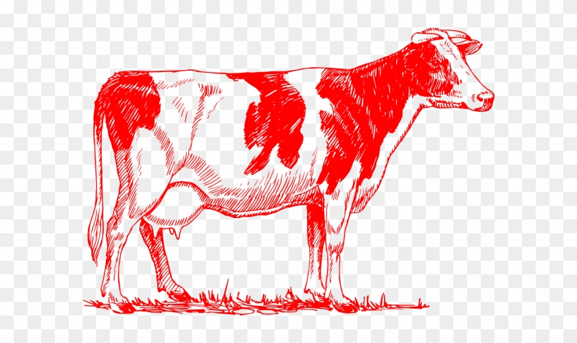 Cow Vector #769285