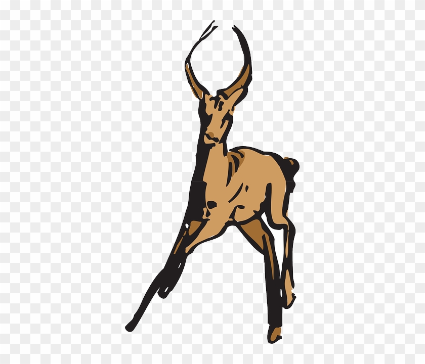 Antelope Running, Away, Art, Forest, Horns, Animal, - Antelope #769381