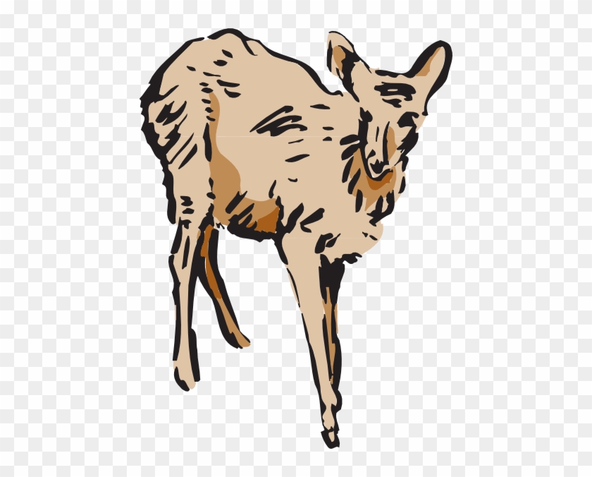 Walking Deer Cliparts - Deer #769425