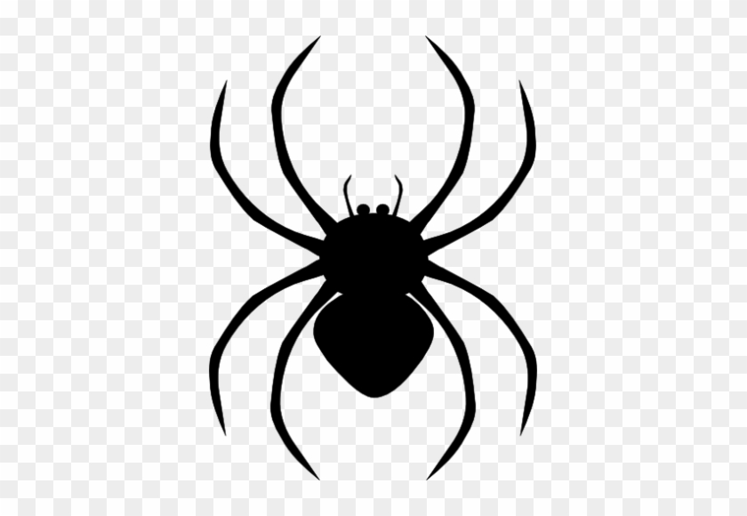 Spider Clipart Spider Clipart Five Isolated Stock Photo - Spiders Clipart Png #138444